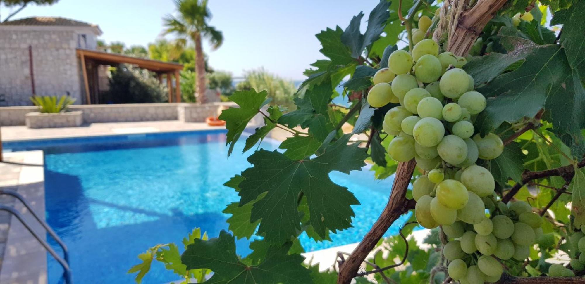 Villa Sealine Pefki  Ruang foto